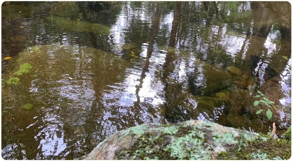 Verde, mas não só